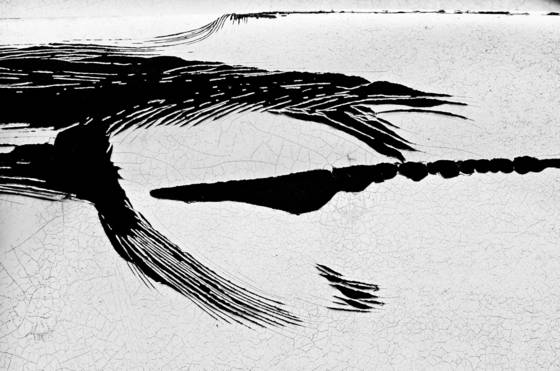 Flying