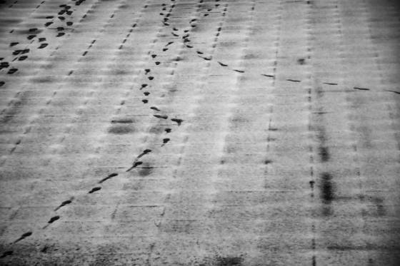 Unexpected_patterns