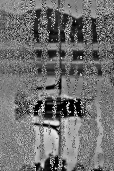 Early_morning_dew