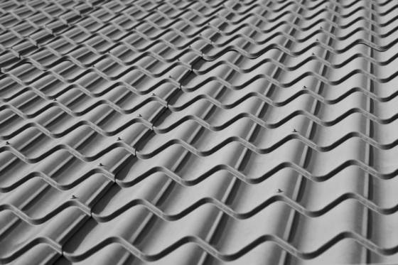 Shingle_vision