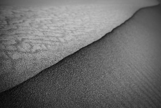 Dune_study_1