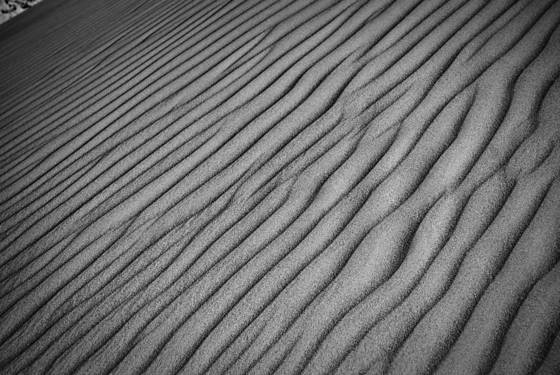 Dune_study_2