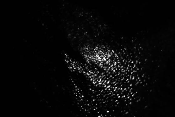 Series_spirit___matter__i_neri