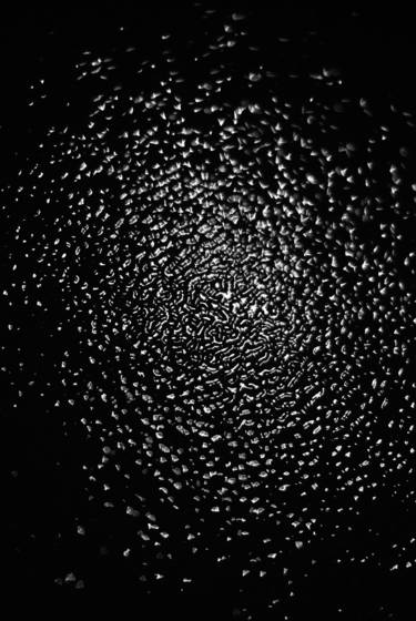 Series_spirit___matter_night___day