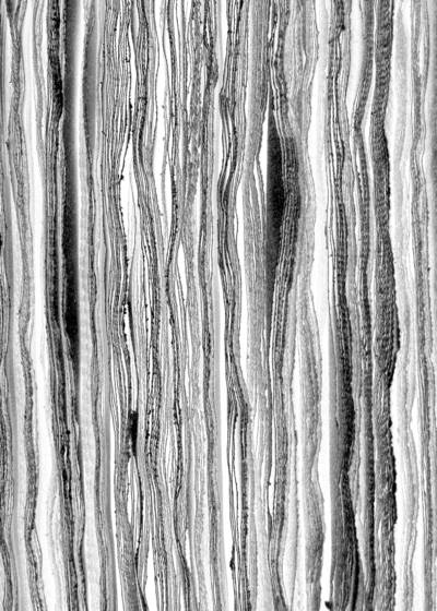 Stacked_papers_8