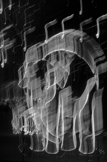 Elephant_with_music