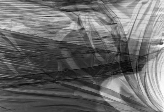 Wrapped_in_plastic