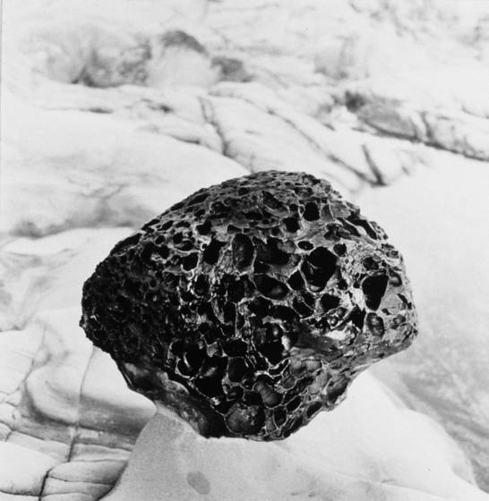 Untitled_5