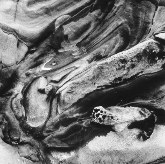 Untitled_7