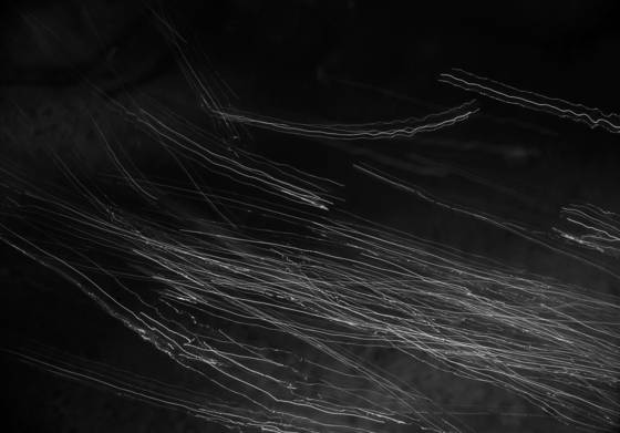 Water_signature__170
