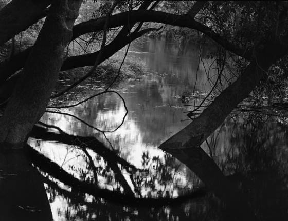 Little_river