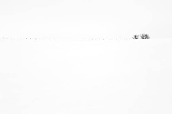 Hilltop_fenceline