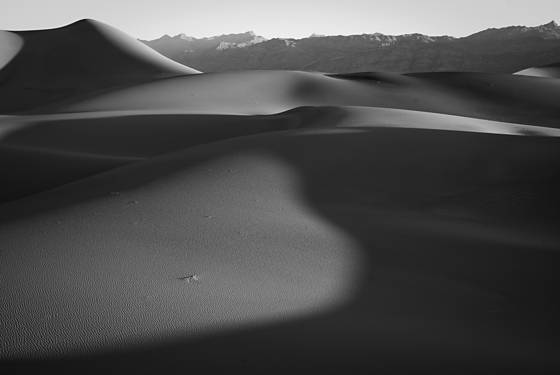 Dune_study_10