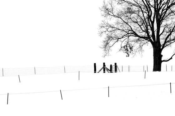 Winter_barn_2
