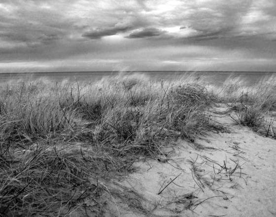 To_the_beach_5