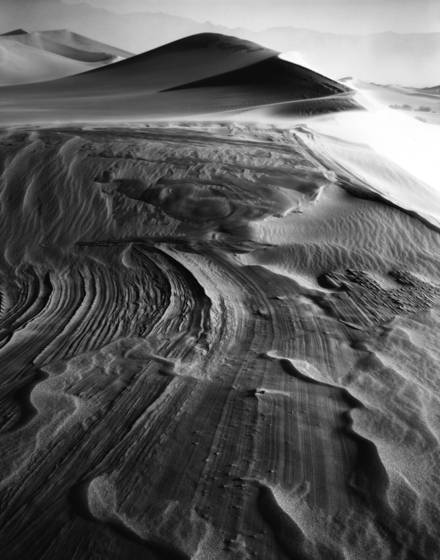 Dunes_in_the_wind