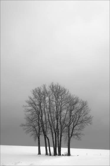 Berom_nster_01