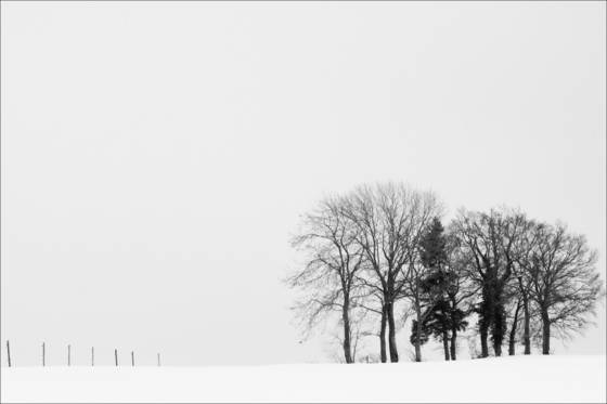 Berom_nster_02