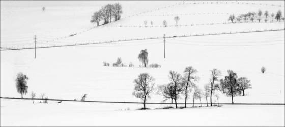 Berom_nster_04