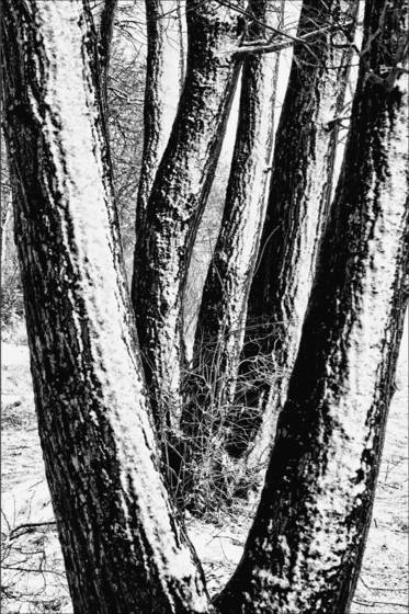 Istein_01