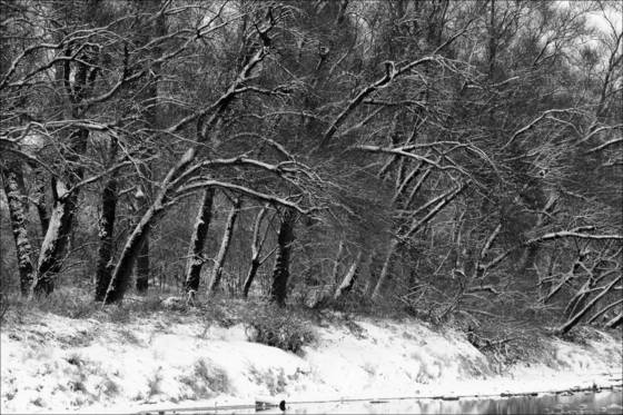 Istein_03