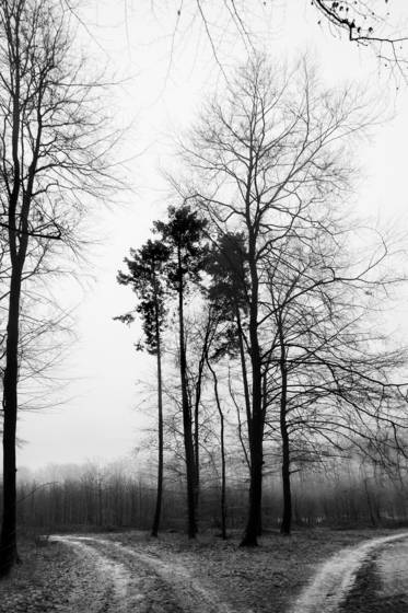 Plauer_see