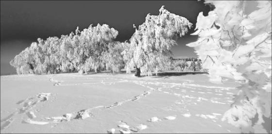 Schauinsland_02