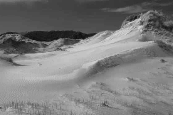 Dune_1