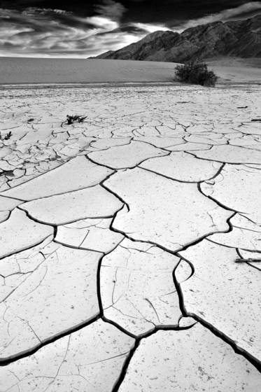 Bone_dry
