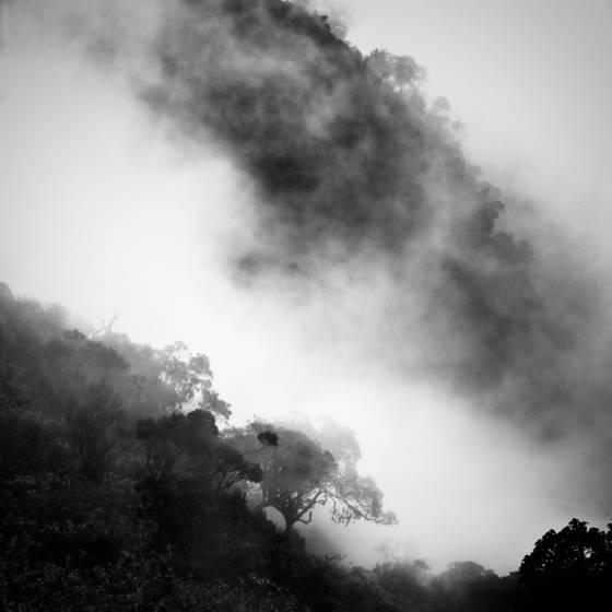 Reunion_national_park