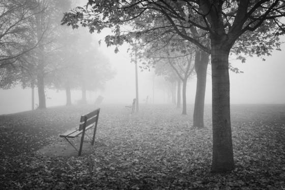 Fog