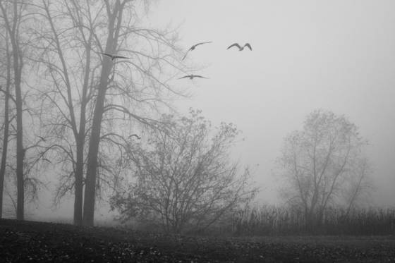 November