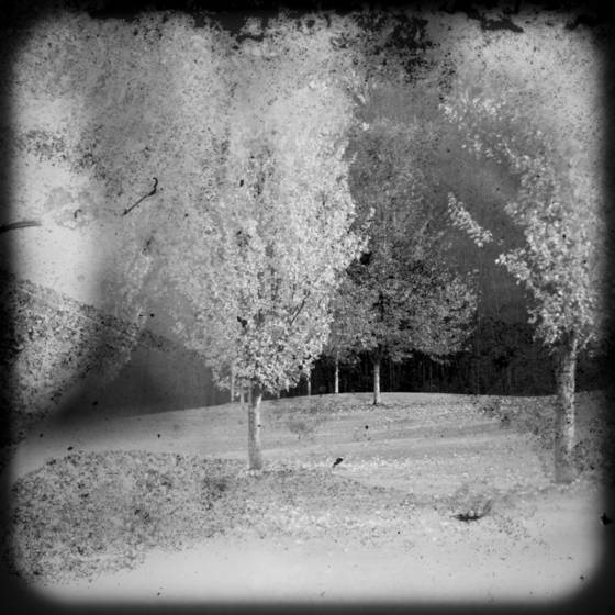 Chapter_01
