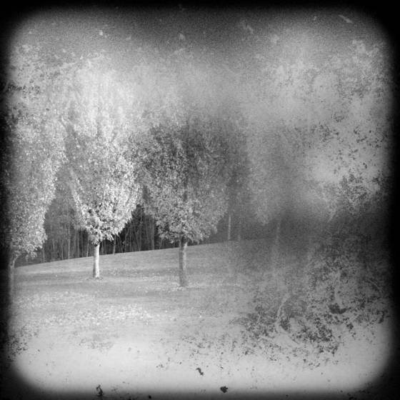 Chapter_08