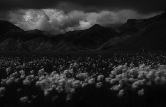 As_above_so_below