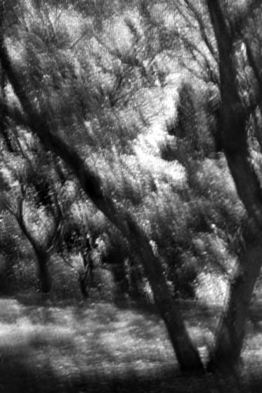Untitled_4