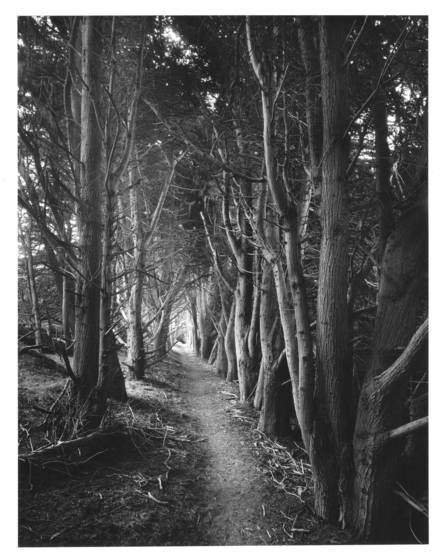 Gateless_gate__3