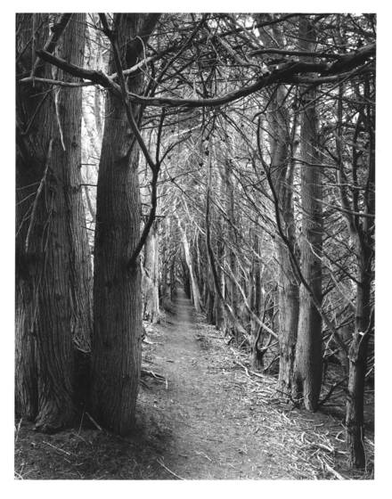 Gateless_gate__6
