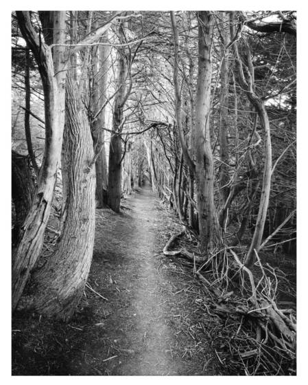 Gateless_gate__8__san_simeon_point