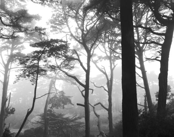 Stow_lake_a