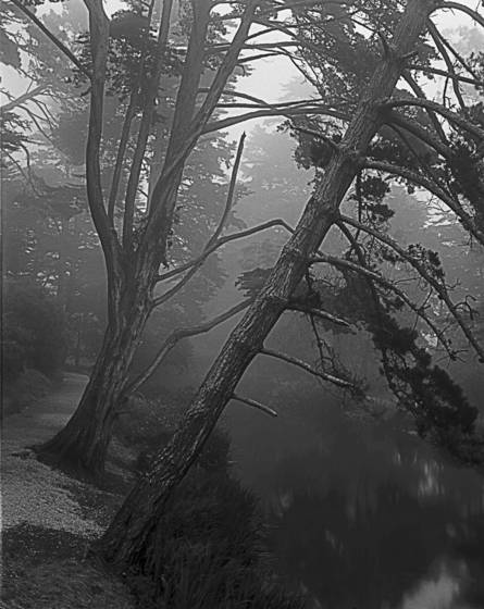 Stow_lake_f