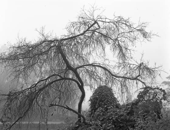 Stow_lake_h