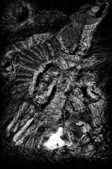Petrified__01