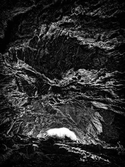 Petrified__05
