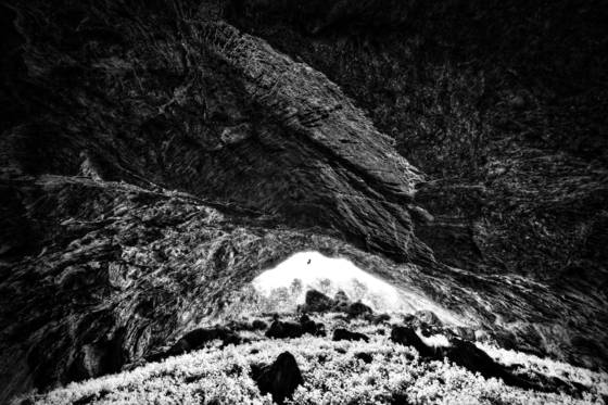 Petrified__12