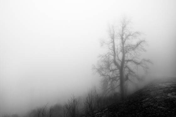 Snp_7