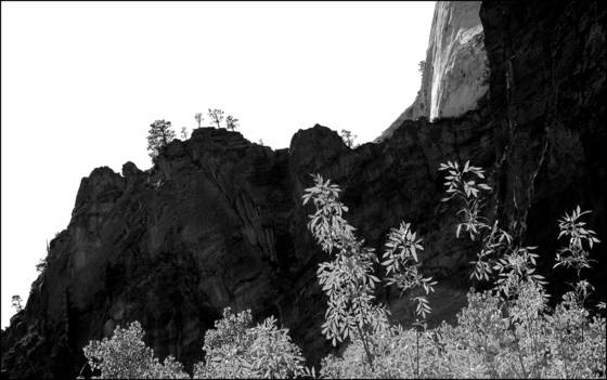 Autumn_at_zion