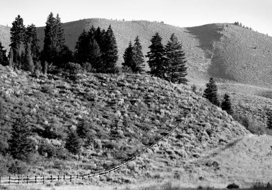 Big_country