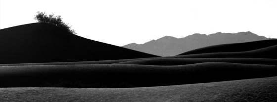 Horizons