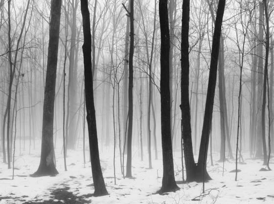 Little_river_preserve_10